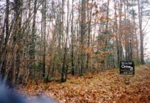 wooded